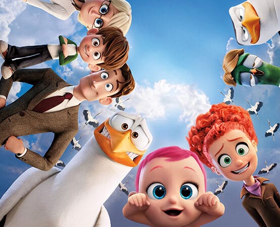 Diploma in Computer Multimedia