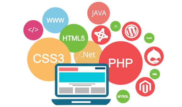 Certificate Course in Web Design with PHP Certificate Course in Web Design with PHP